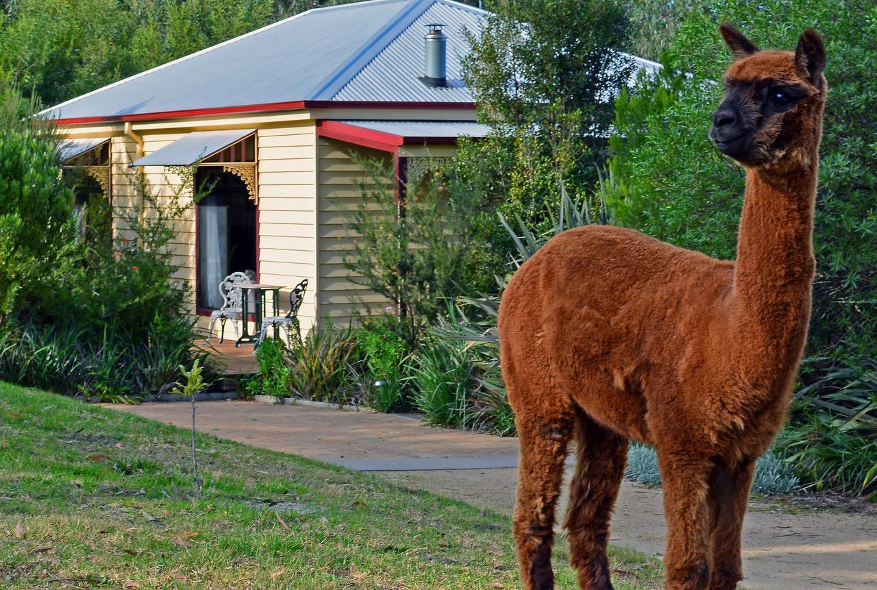 Araluen Park Cottages Lakes Entrance Exterior foto