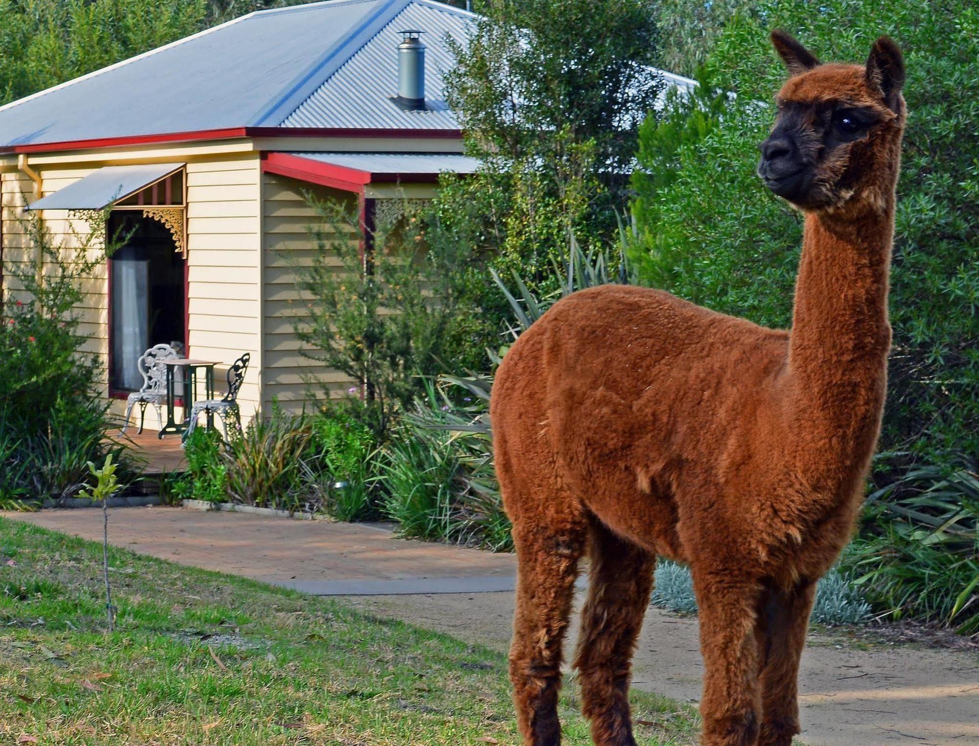 Araluen Park Cottages Lakes Entrance Exterior foto