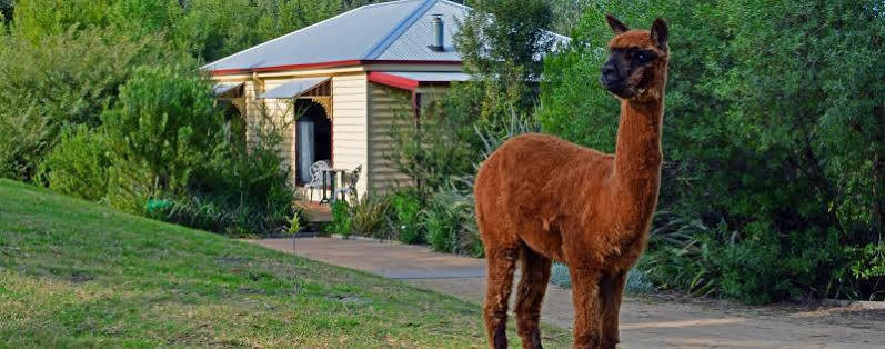 Araluen Park Cottages Lakes Entrance Exterior foto